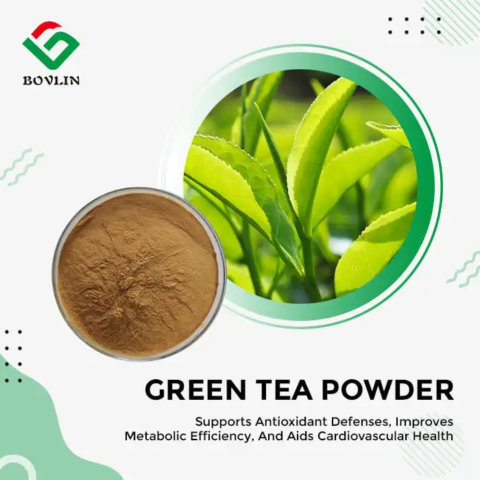 Green Tea Extract Powder